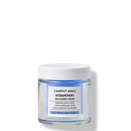 Hydramemory Rich Sorbet Cream