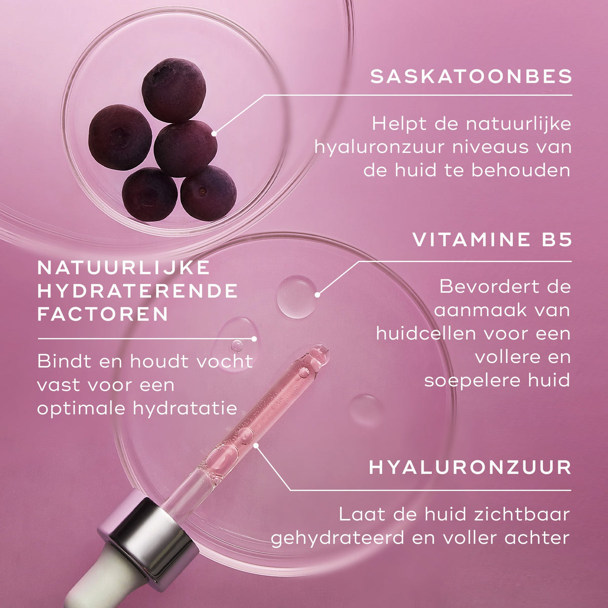 Medik8 Hydr8 B5 Intense 30ml belangrijkste ingrediënten