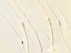 Image Skincare AGELESS+ Retinol - Repair Crème 0.3% Retinol Complex 50g structuur