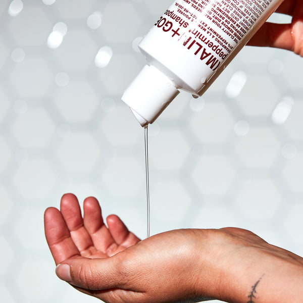 Top 10 beste shampoos