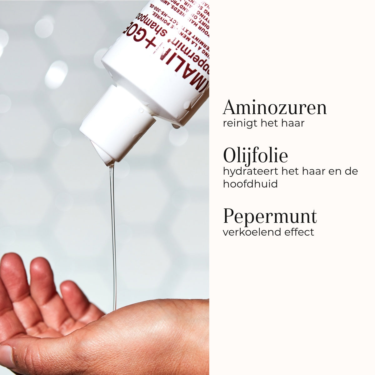 Peppermint Shampoo ingredienten