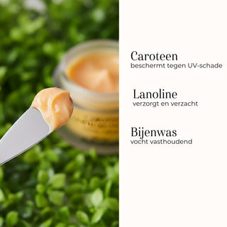 Carotin Feuchtigkeitscreme 50ml | Doctor Eckstein