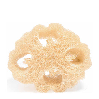 Food for Skin Loofah Veggie Sponge