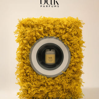 BDK Parfums Eau De Lessive Mimosa in wasmachine van mimosabloemen