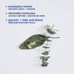 Eucalyptus Deodorant | Malin+Goetz